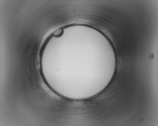 X0000113751080200910211141