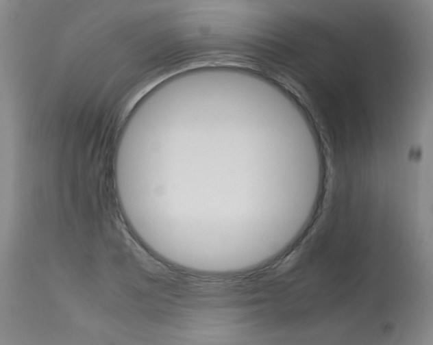 X0000113751081200910211141