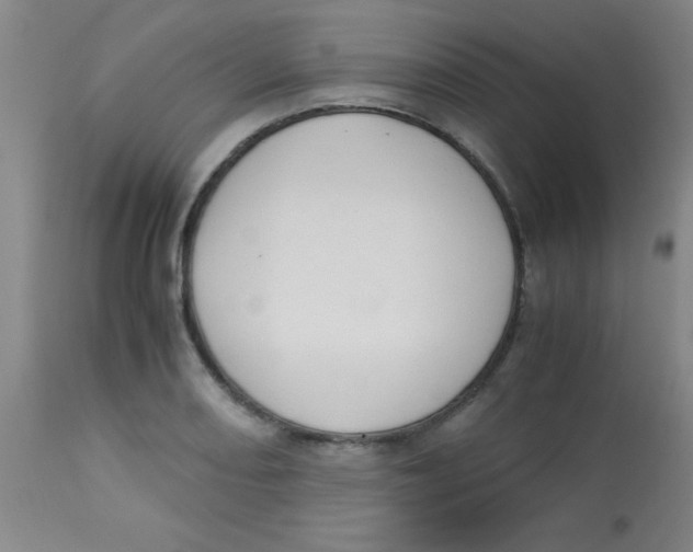 X0000113751082200910211141