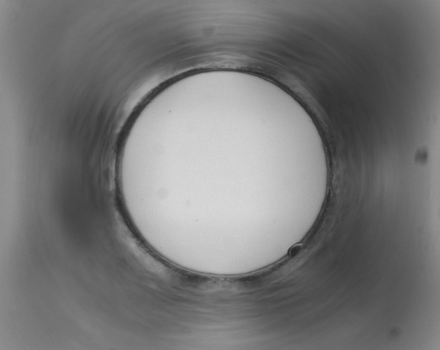 X0000113751083200910211141