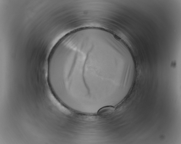 X0000113751084200910211141