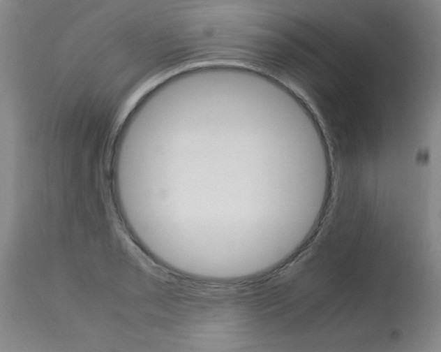 X0000113751085200910211141