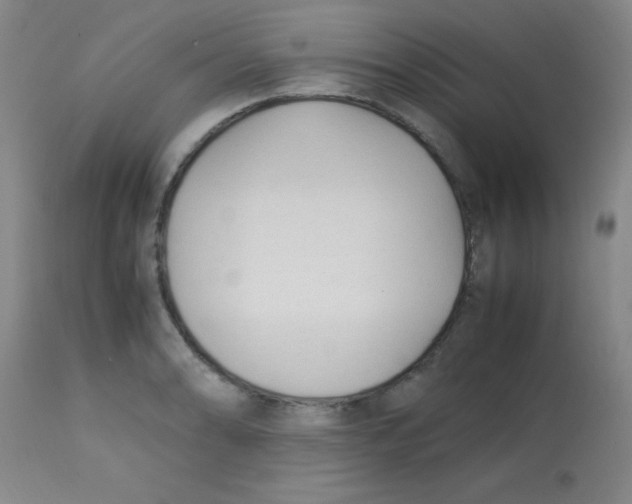 X0000113751086200910211141