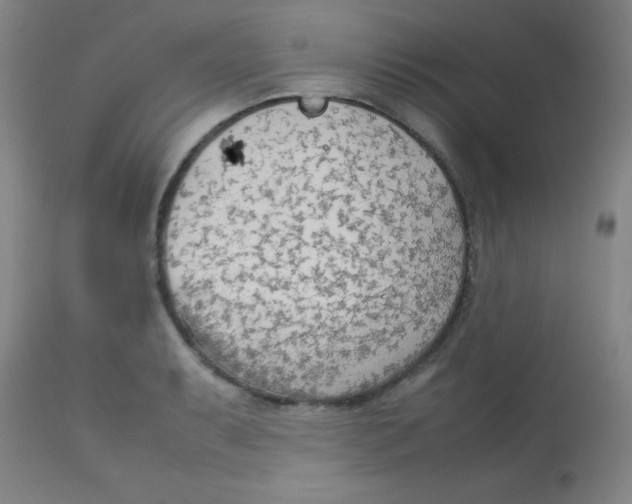 X0000113751087200910211141