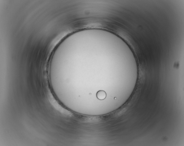 X0000113751090200910211141