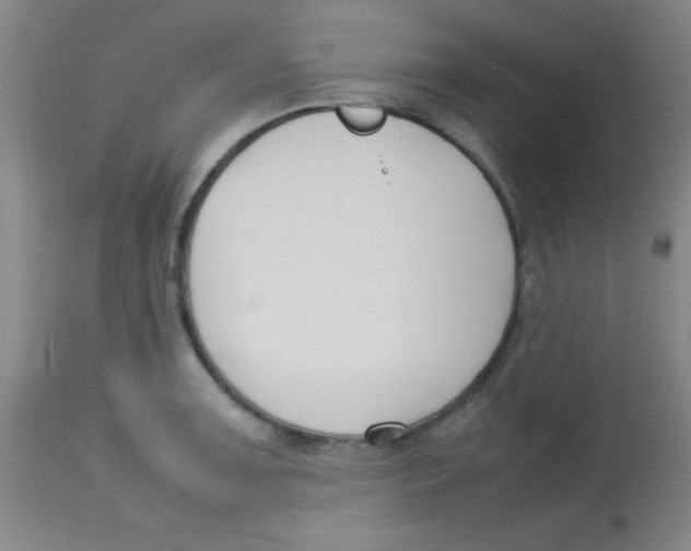 X0000113751091200910211141