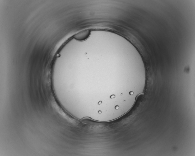 X0000113751092200910211141