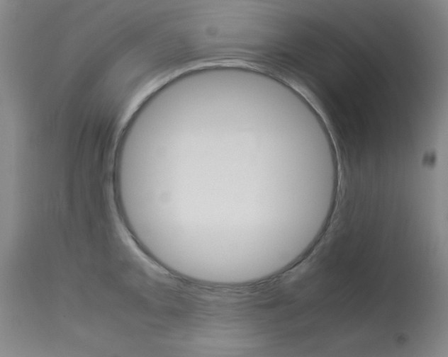 X0000113751093200910211141