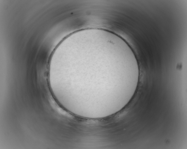 X0000113751094200910211141