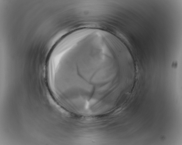 X0000113751095200910211141