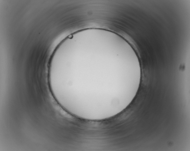 X0000113751096200910211141