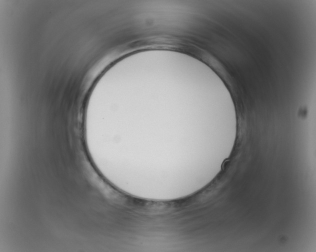 X0000113751099200910211141