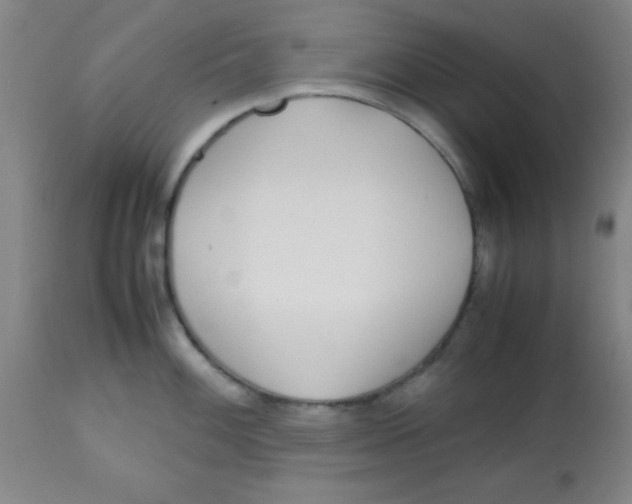 X0000113751100200910211141