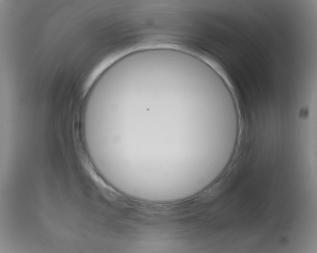 X0000113751101200910211141