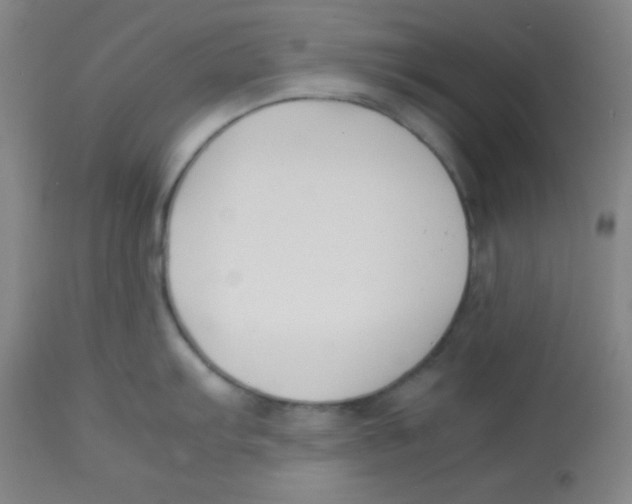 X0000113751103200910211141