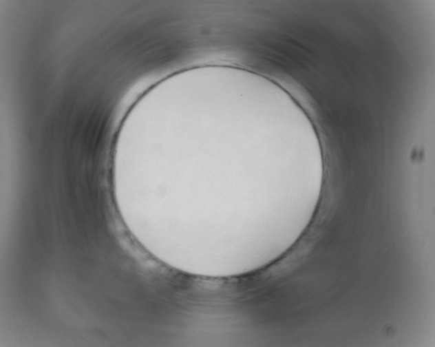 X0000113751104200910211141