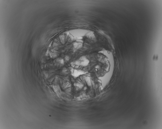 X0000113751105200910211140