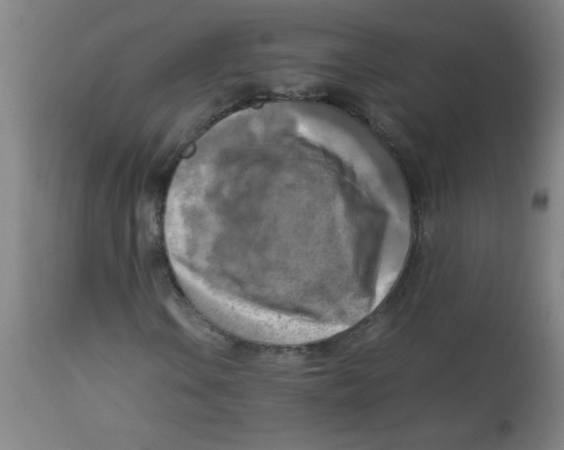 X0000113751106200910211140