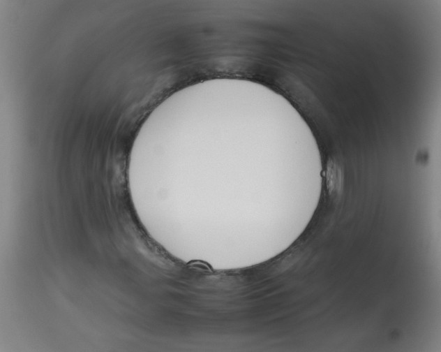 X0000113751107200910211140