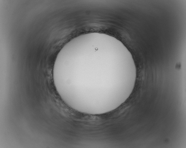 X0000113751109200910211140