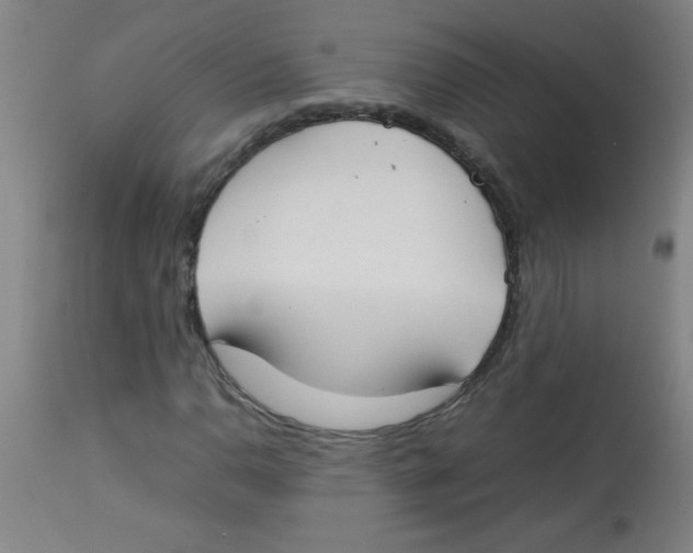 X0000113751110200910211140