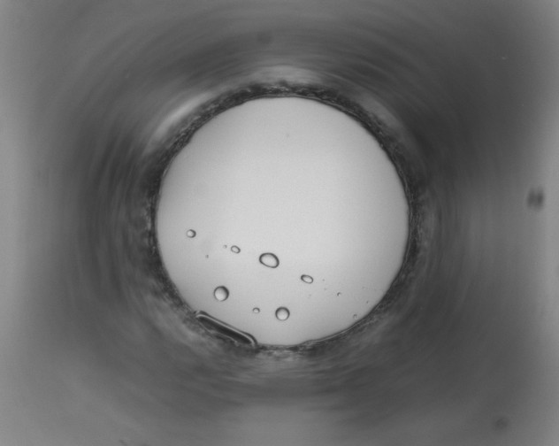 X0000113751112200910211140