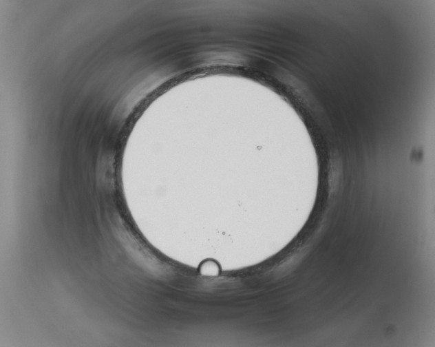 X0000113751113200910211140