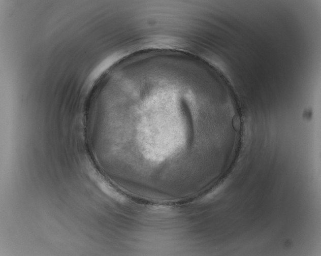 X0000113751114200910211140