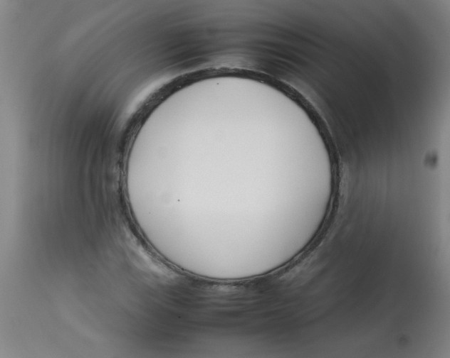 X0000113751115200910211140