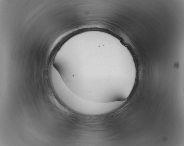 X0000113751116200910211140