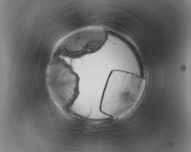 X0000113751117200910211140