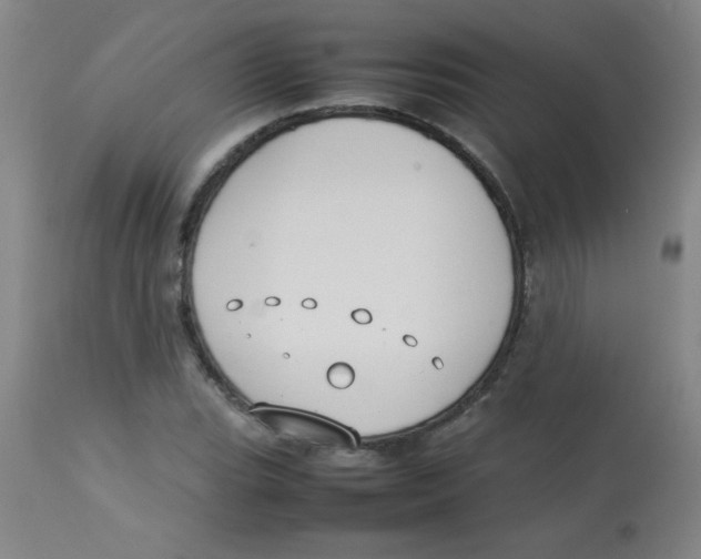 X0000113751119200910211140