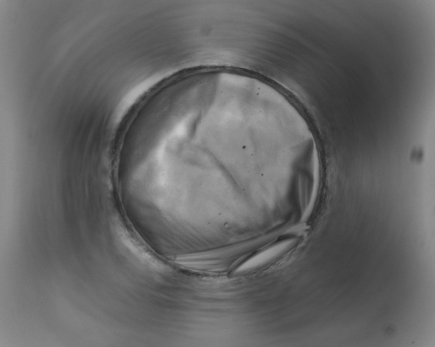 X0000113751120200910211140