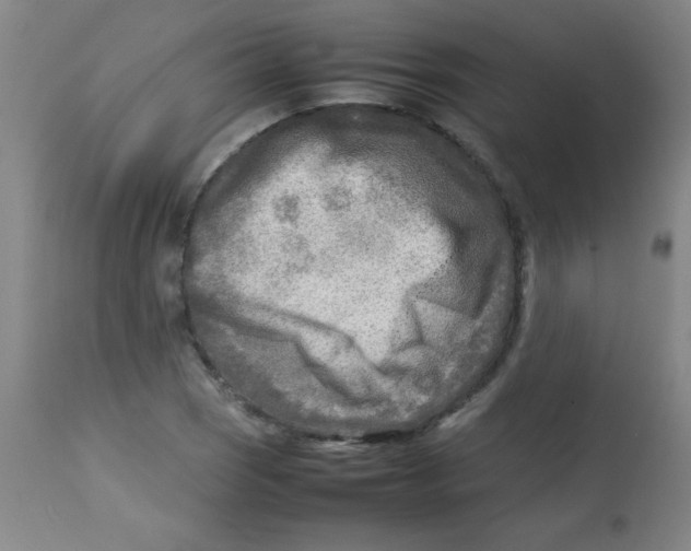 X0000113751121200910211140