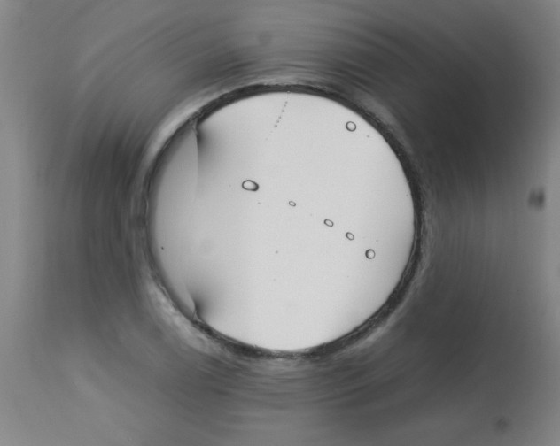 X0000113751122200910211140