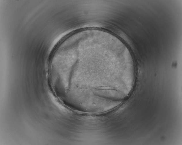 X0000113751124200910211140