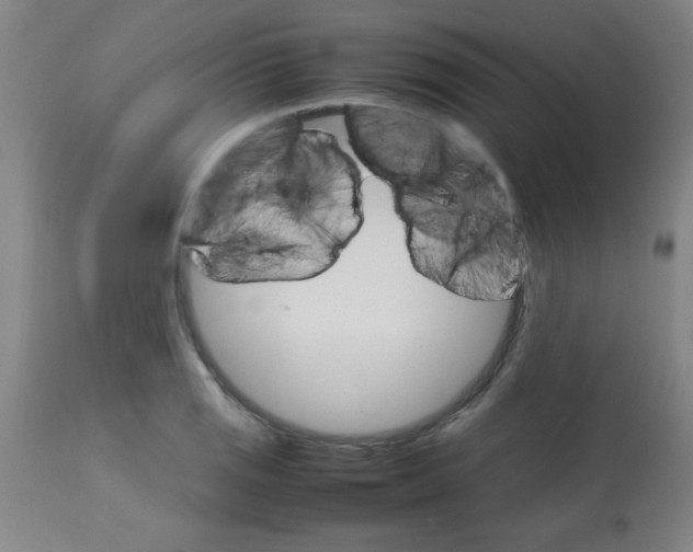 X0000113751125200910211140