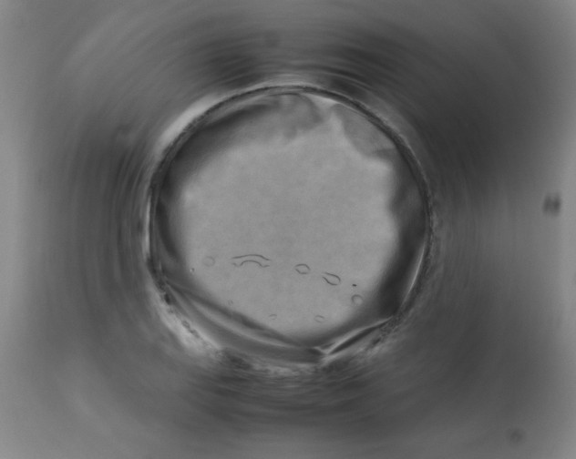 X0000113751127200910211140