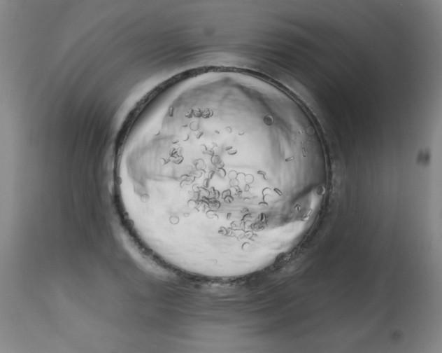 X0000113751128200910211141