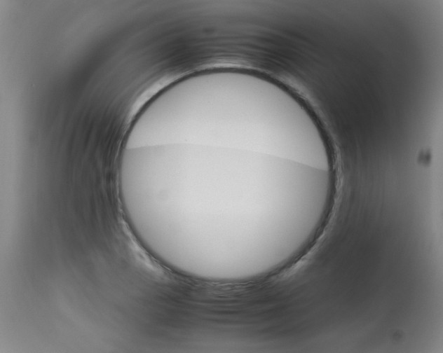 X0000113751129200910211141