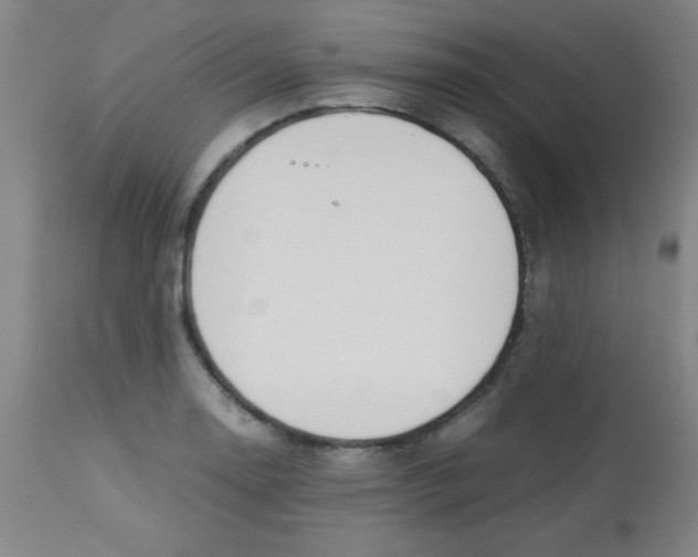 X0000113751130200910211141