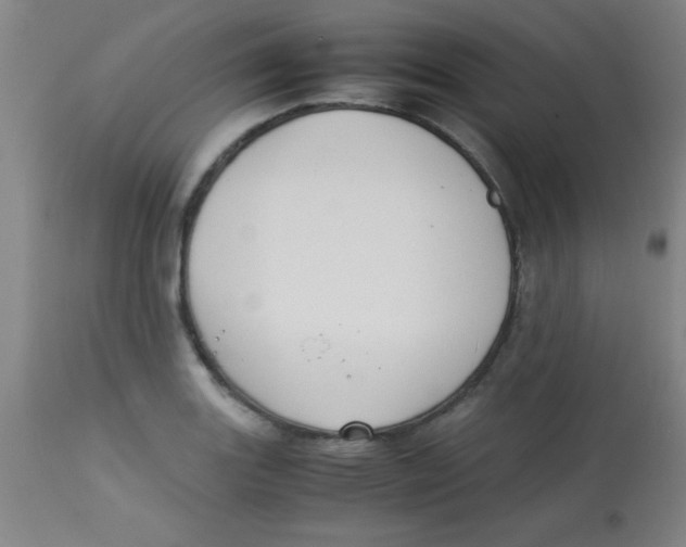 X0000113751131200910211141