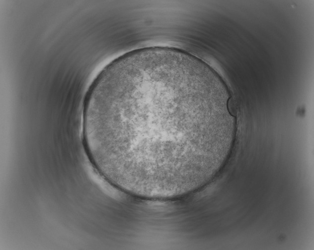 X0000113751132200910211141