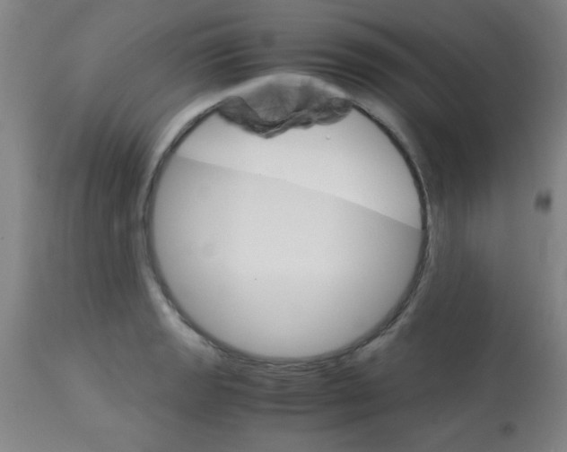 X0000113751133200910211141