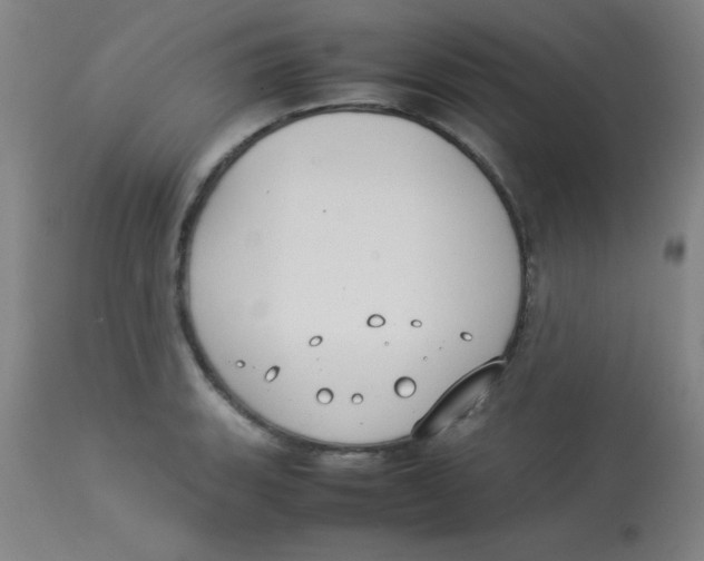 X0000113751135200910211141