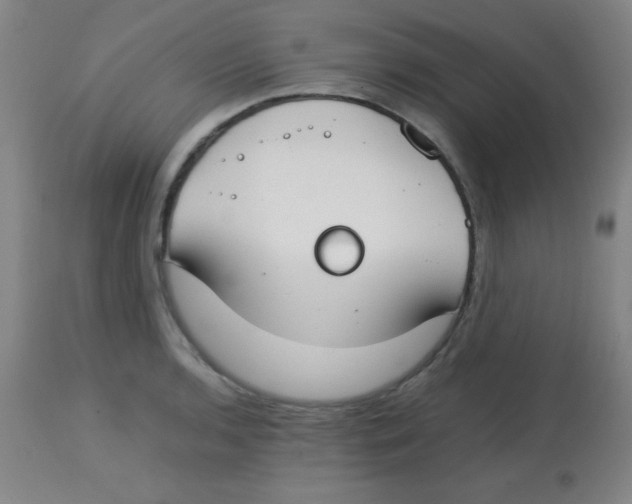 X0000113751136200910211141