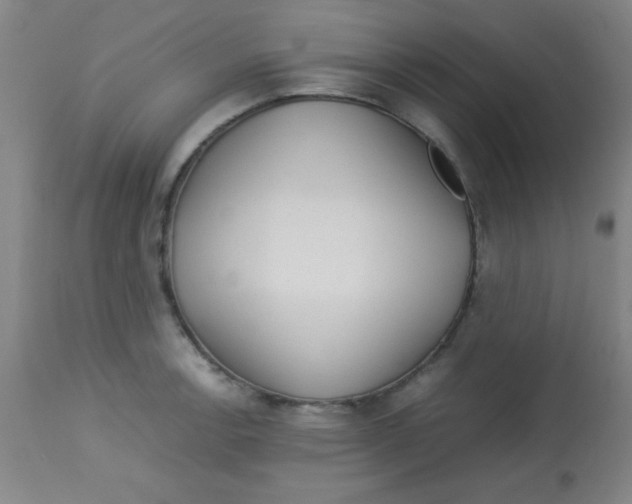 X0000113751138200910211141