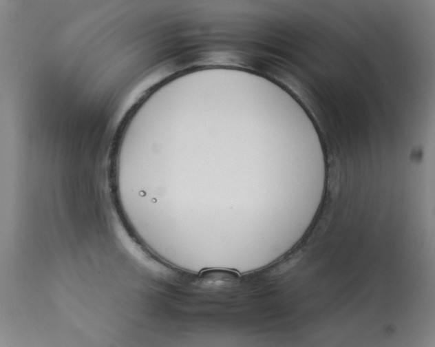 X0000113751139200910211141