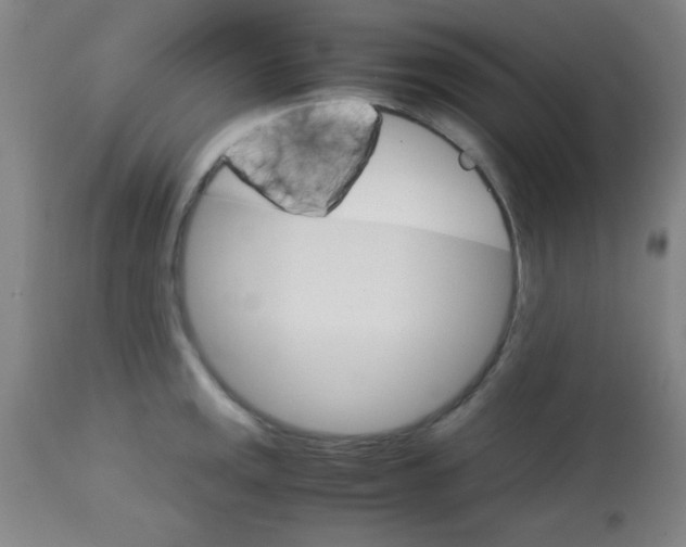 X0000113751141200910211141