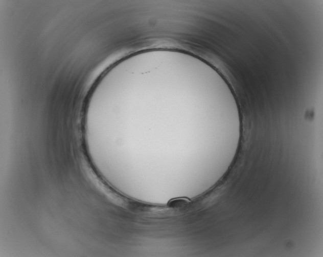 X0000113751142200910211141